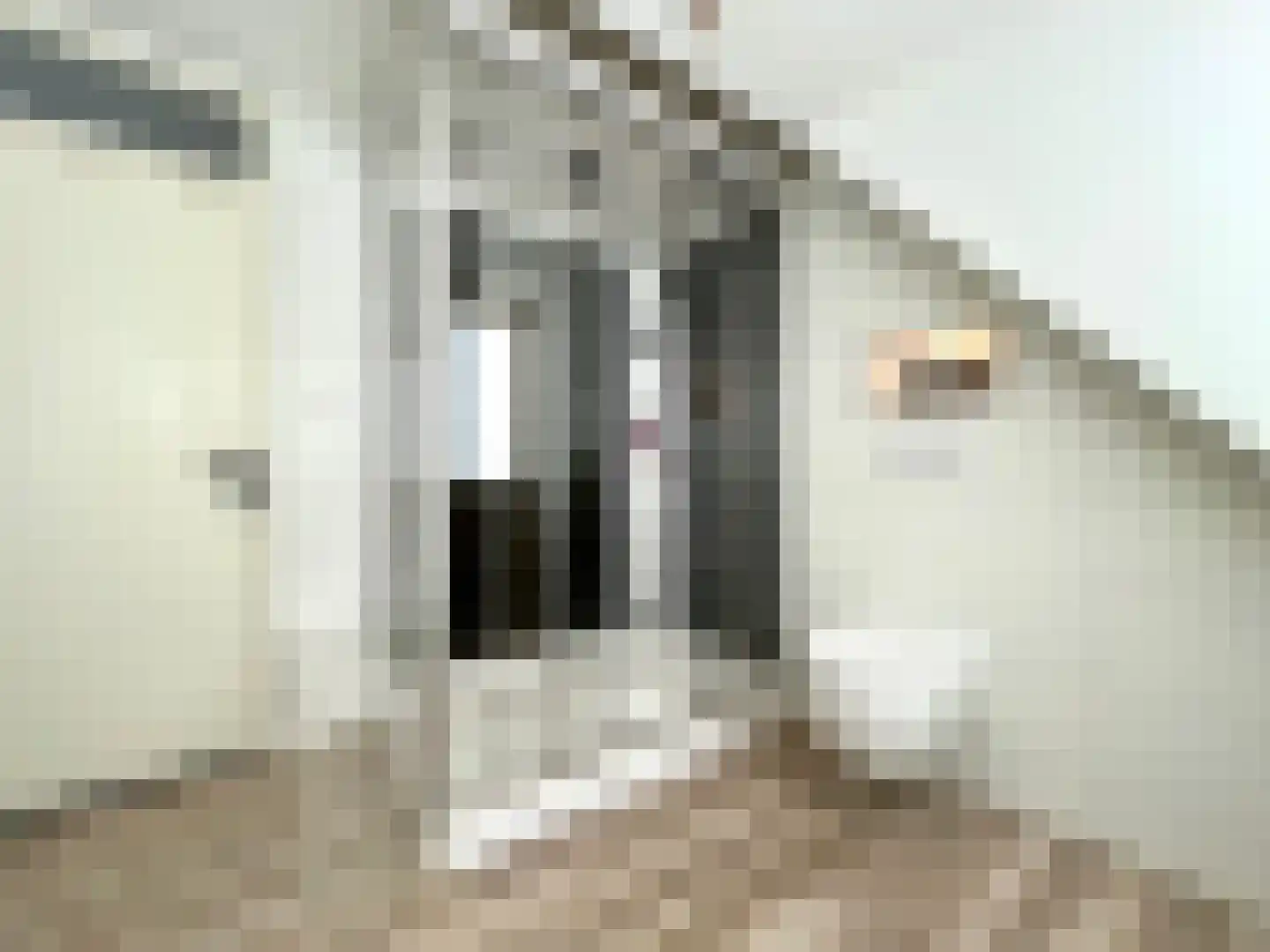 Th Elsenstraat 4 Montfoort thumbnail 27