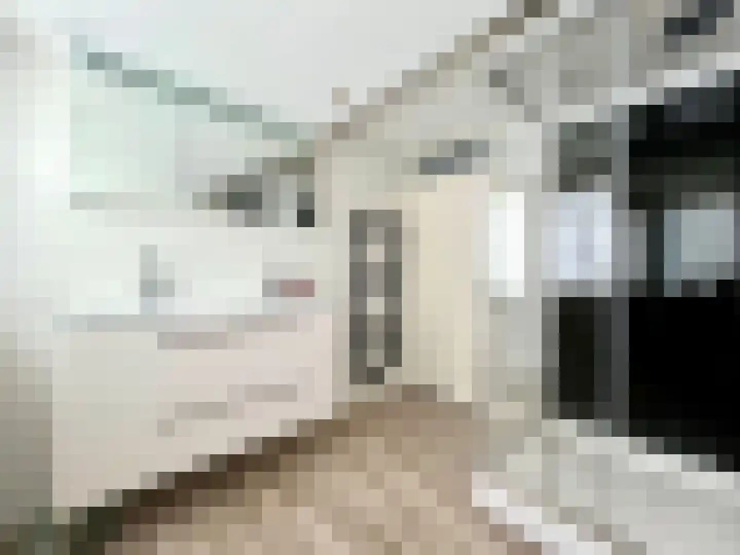 Th Elsenstraat 4 Montfoort thumbnail 28