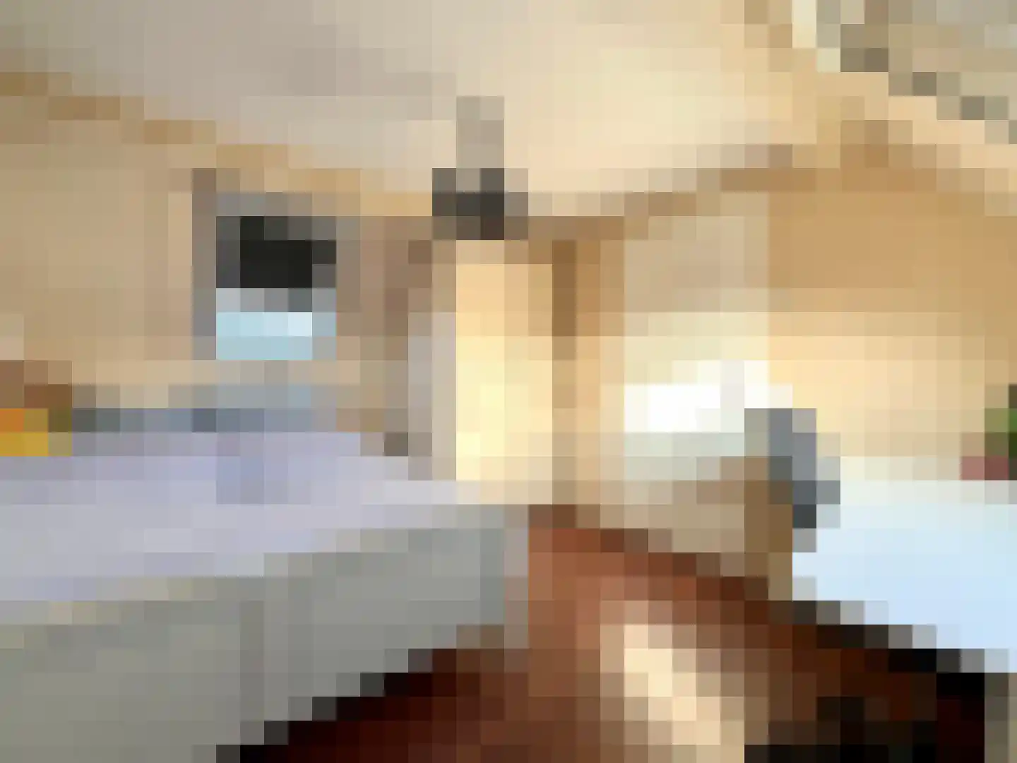 Th Elsenstraat 4 Montfoort thumbnail 33