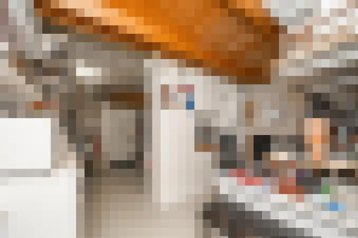 Th Elsenstraat 53 Montfoort thumbnail 25