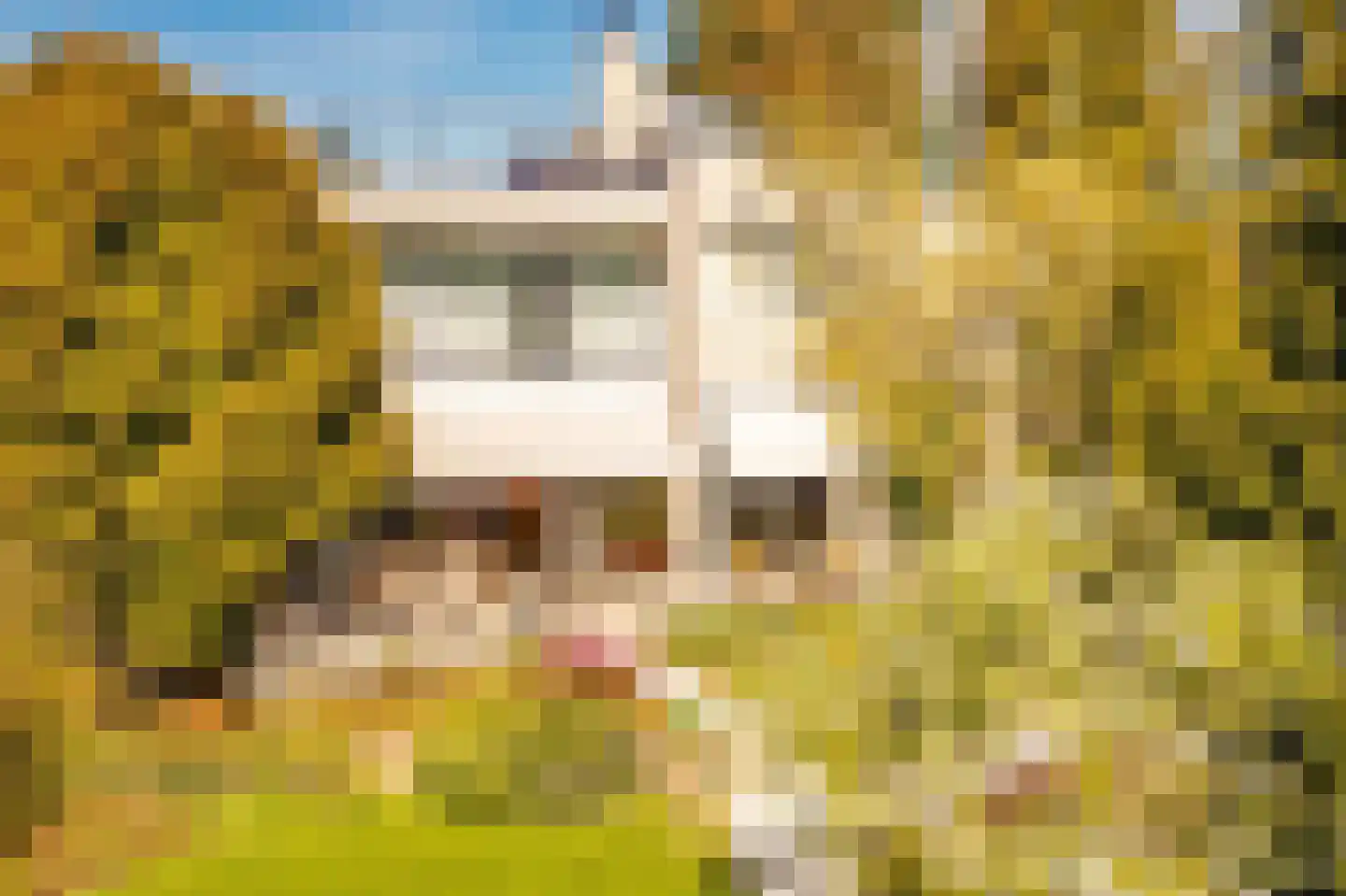 Th Elsenstraat 53 Montfoort thumbnail 69