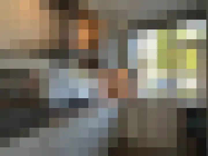 Th Elsenstraat 7 Montfoort thumbnail 8