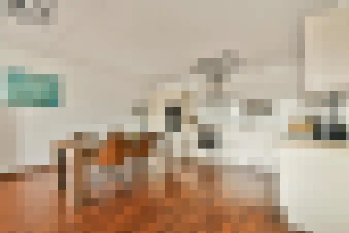 Th. K. van Lohuizenlaan 234 Amsterdam thumbnail 10