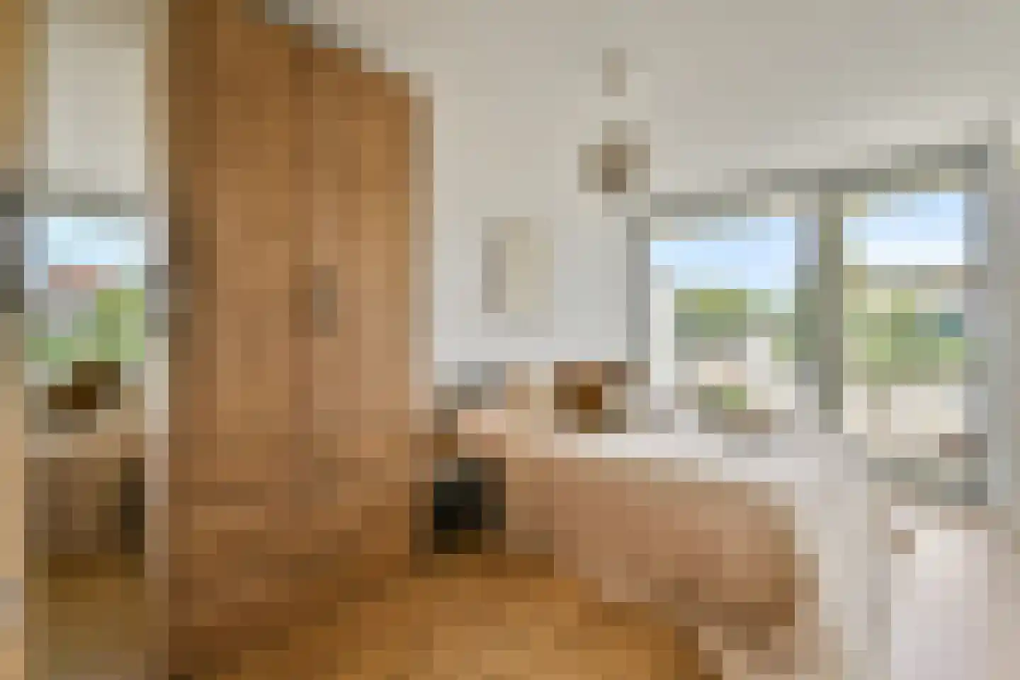 Th. K. van Lohuizenlaan 234 Amsterdam thumbnail 17