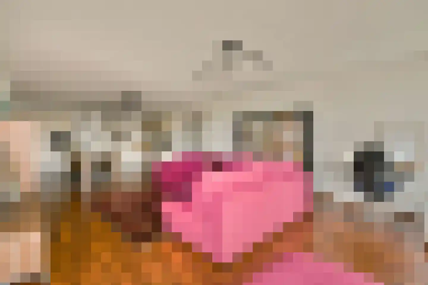 Th. K. van Lohuizenlaan 234 Amsterdam thumbnail 8