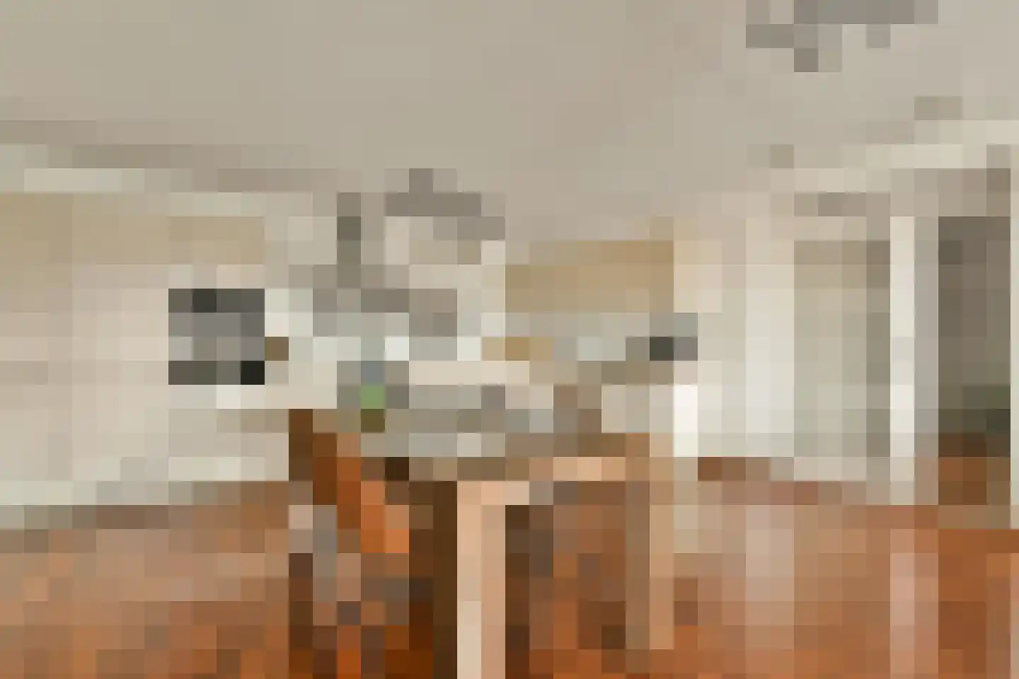 Th. K. van Lohuizenlaan 234 Amsterdam thumbnail 9