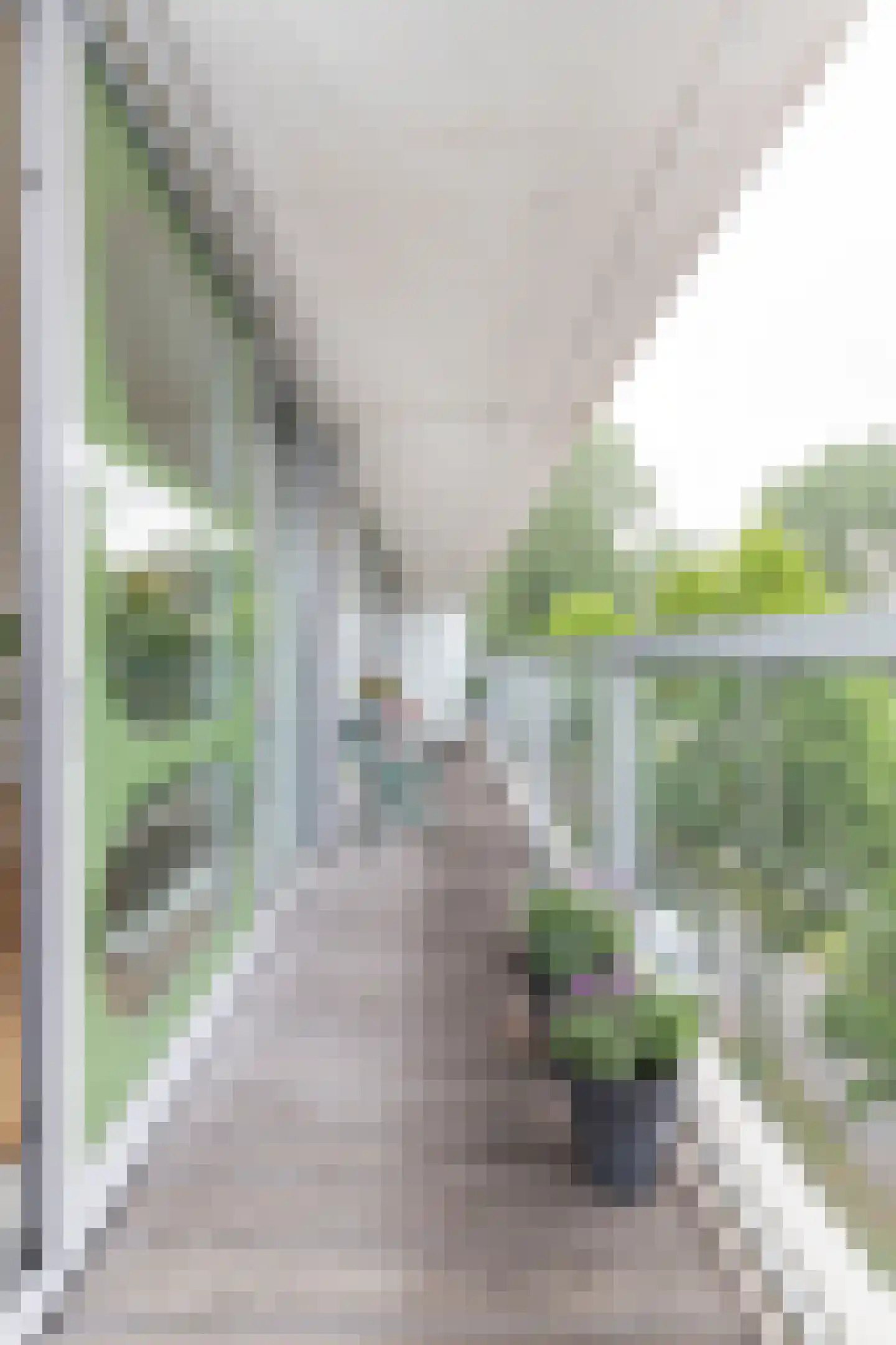 Th. K. van Lohuizenlaan 252 Amsterdam thumbnail 33