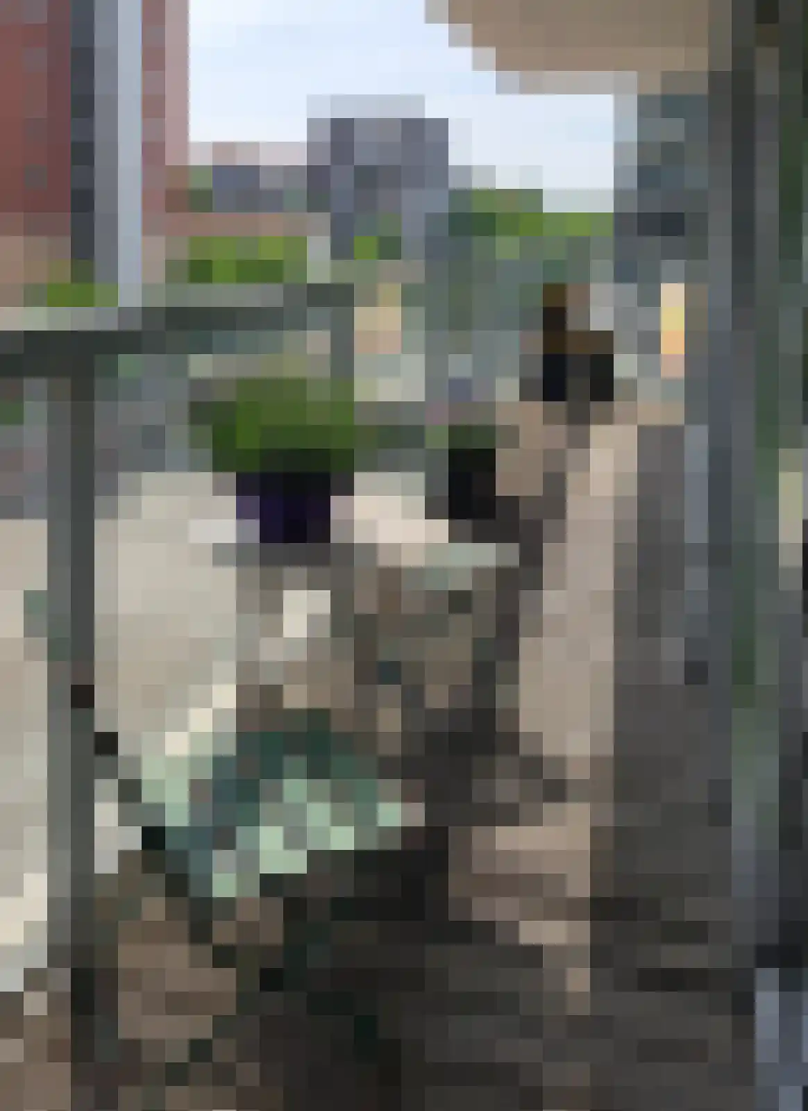 Th. K. van Lohuizenlaan 252 Amsterdam thumbnail 35