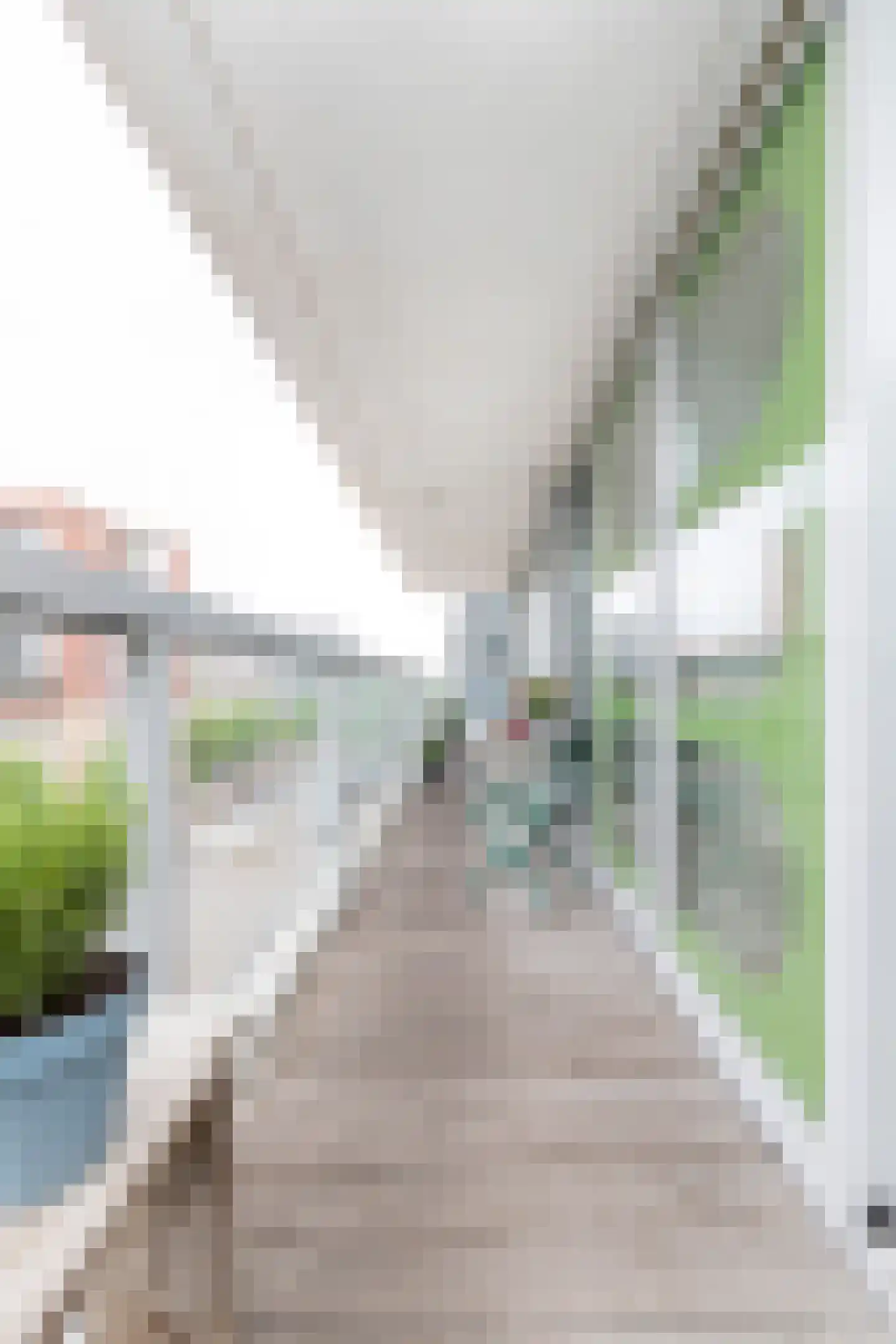 Th. K. van Lohuizenlaan 252 Amsterdam thumbnail 36