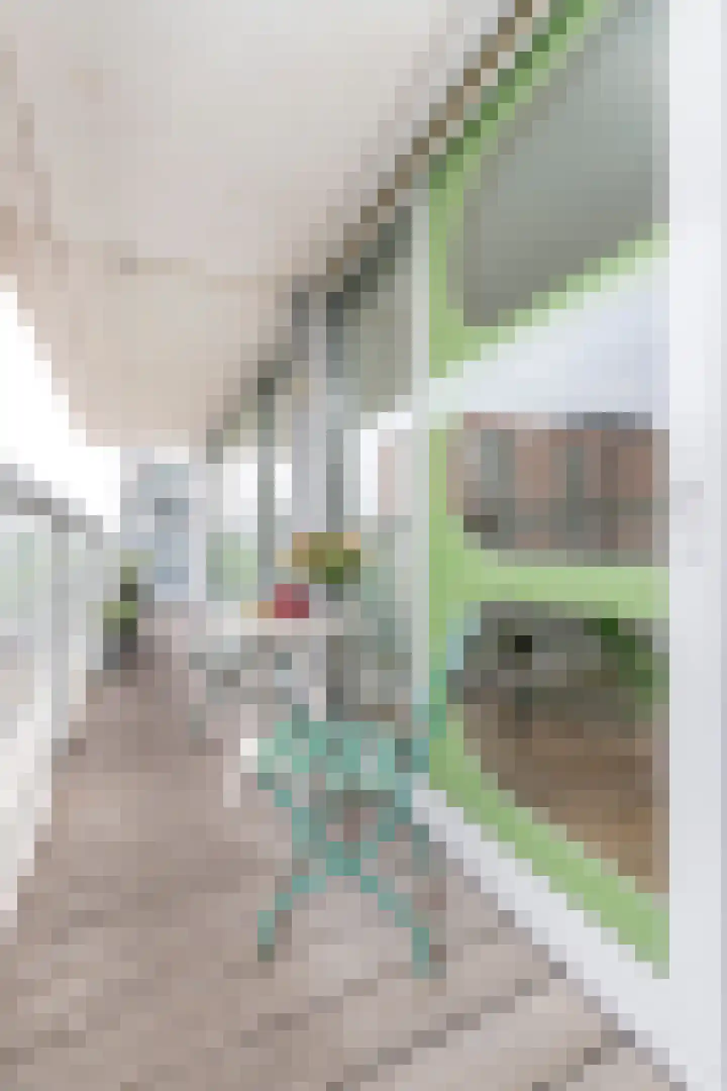 Th. K. van Lohuizenlaan 252 Amsterdam thumbnail 37
