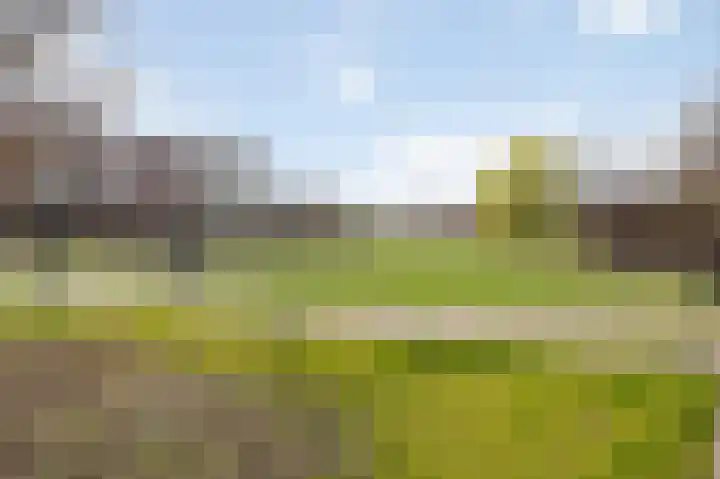 Thaalpad 19 Echt thumbnail 10
