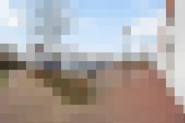 Thaalpad 19 Echt thumbnail 11