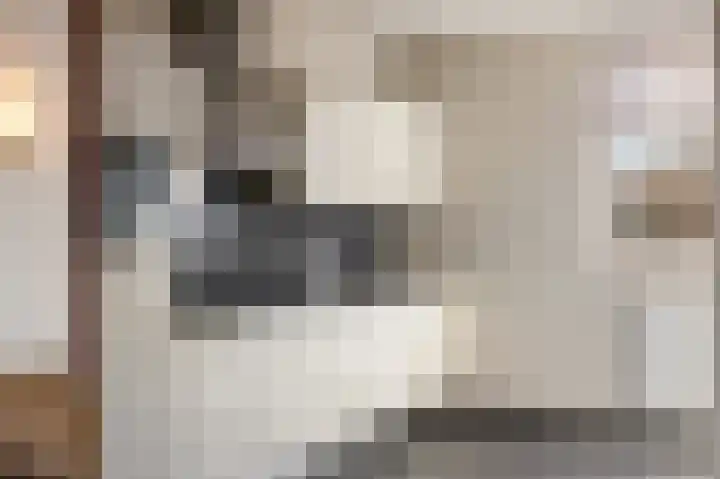 Thaalpad 19 Echt thumbnail 25