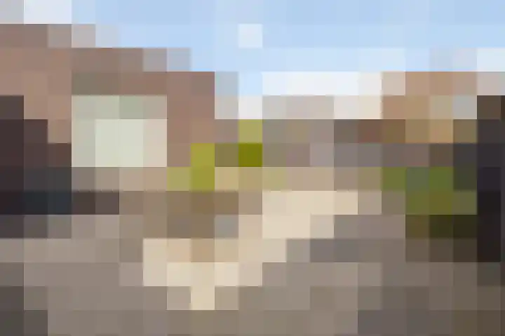 Thaalpad 19 Echt thumbnail 37
