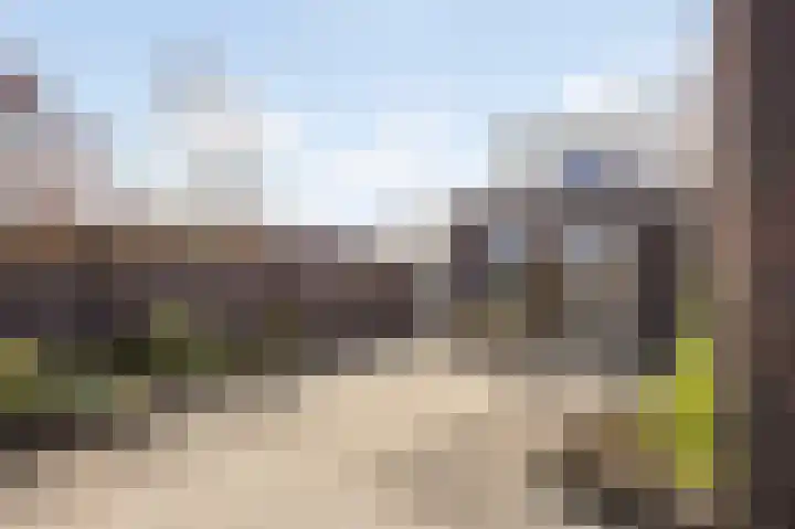 Thaalpad 19 Echt thumbnail 38