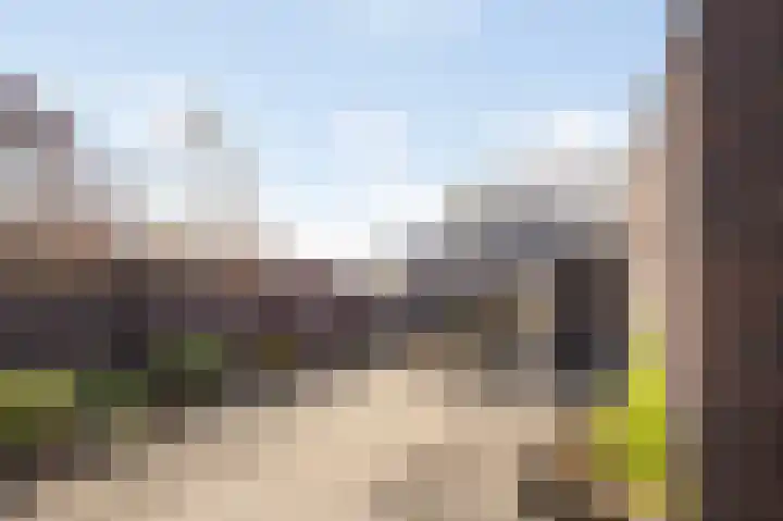 Thaalpad 19 Echt thumbnail 39