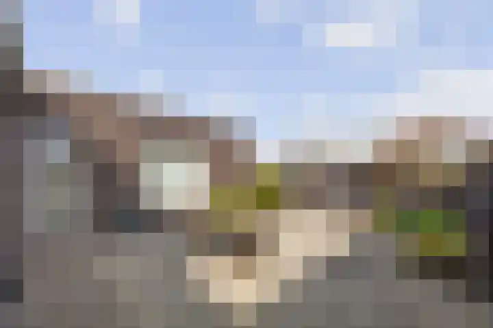 Thaalpad 19 Echt thumbnail 41