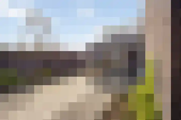 Thaalpad 19 Echt thumbnail 43