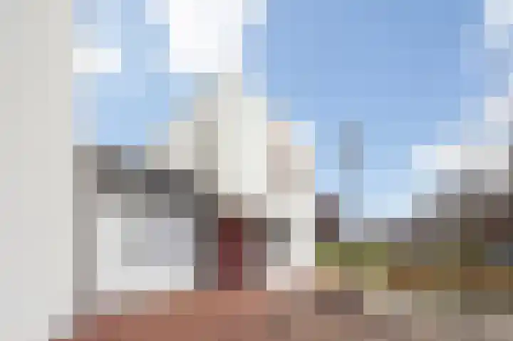 Thaalpad 19 Echt thumbnail 6