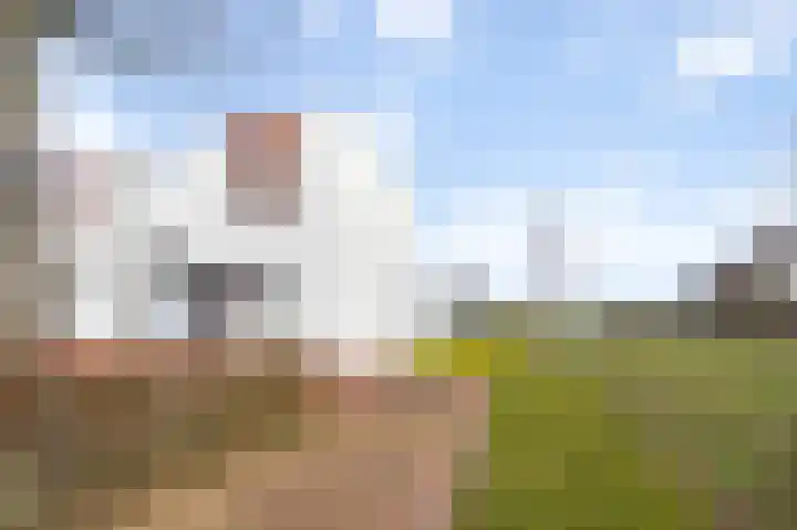 Thaalpad 19 Echt thumbnail 7