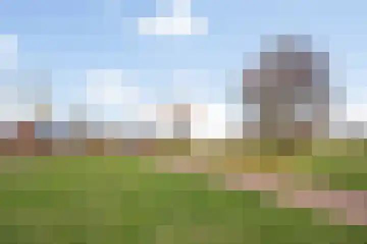 Thaalpad 19 Echt thumbnail 9