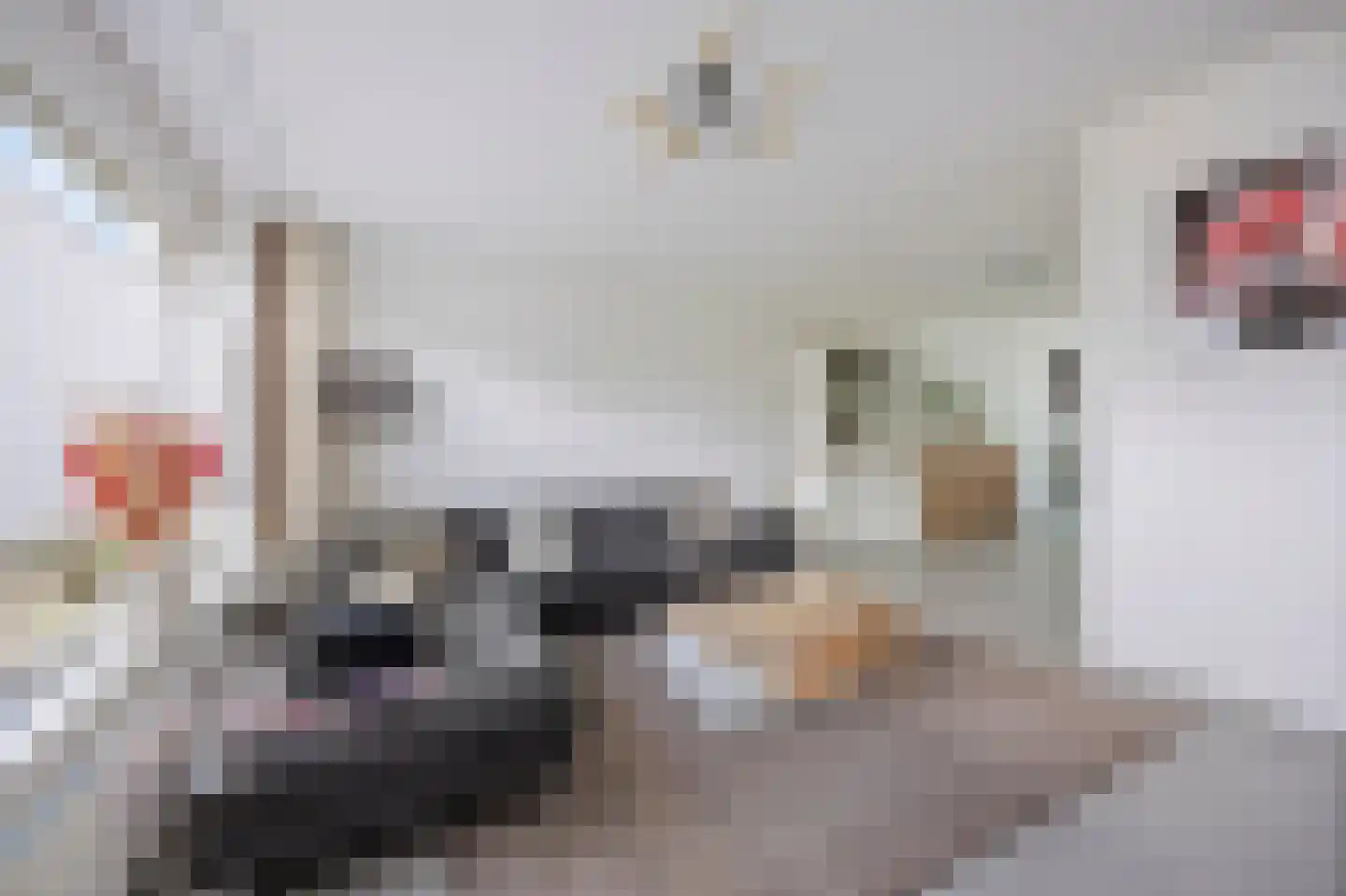 Thaalweg Oost 28 Echt thumbnail 15