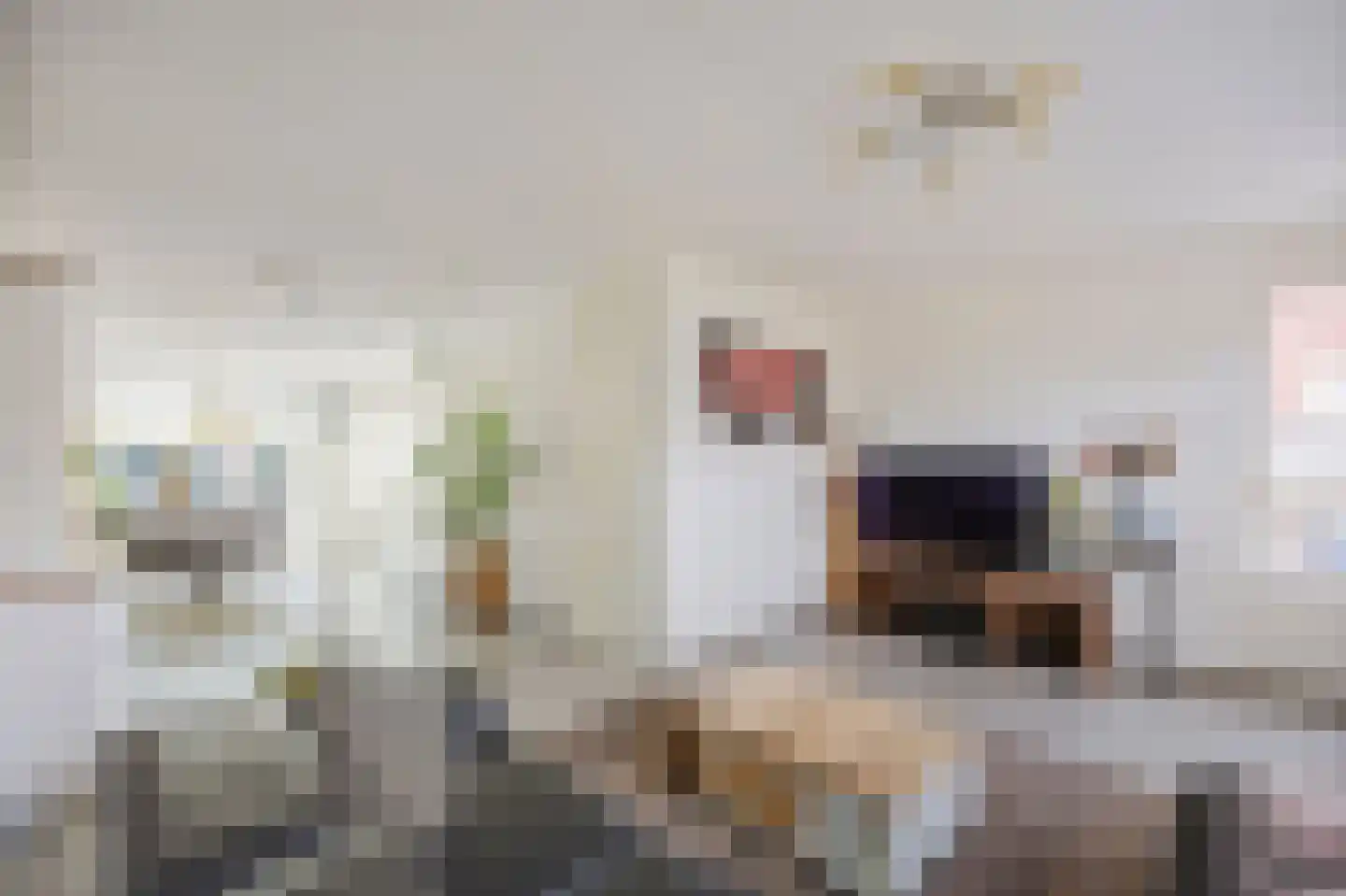 Thaalweg Oost 28 Echt thumbnail 19