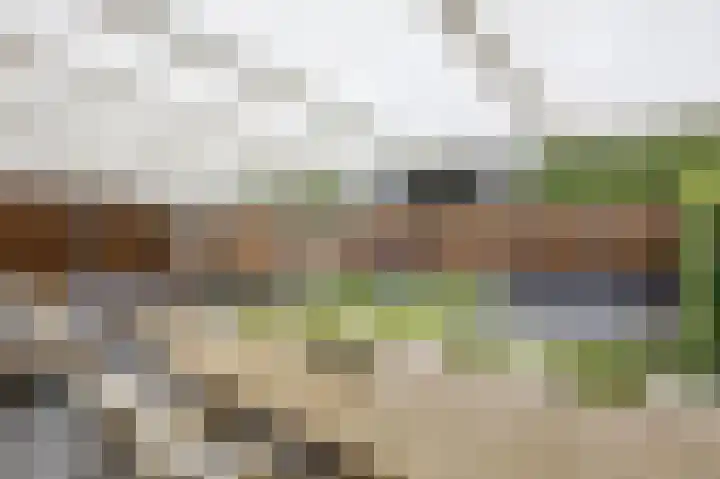 Thaalweg Oost 38 Echt thumbnail 25