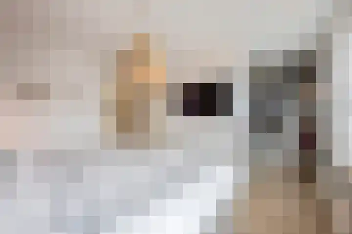 Thaalweg Oost 38 Echt thumbnail 29