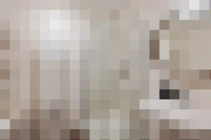 Thaalweg Oost 38 Echt thumbnail 36