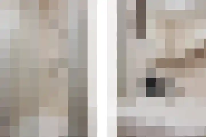 Thaalweg Oost 38 Echt thumbnail 38