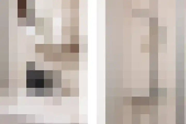 Thaalweg Oost 38 Echt thumbnail 39