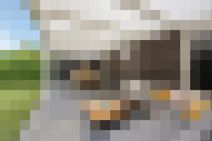 Thaalweg Oost 38 Echt thumbnail 43