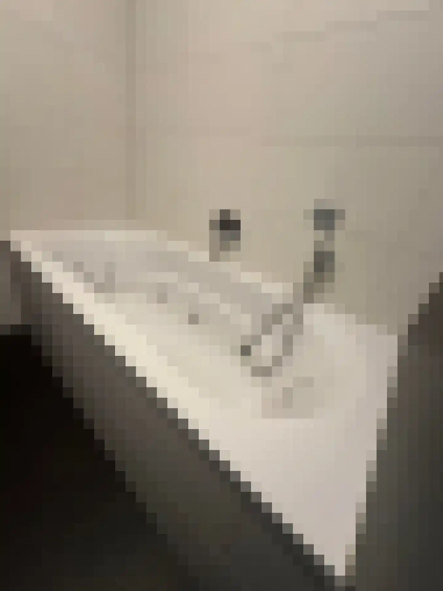Thaalweg Oost 4 Echt thumbnail 11