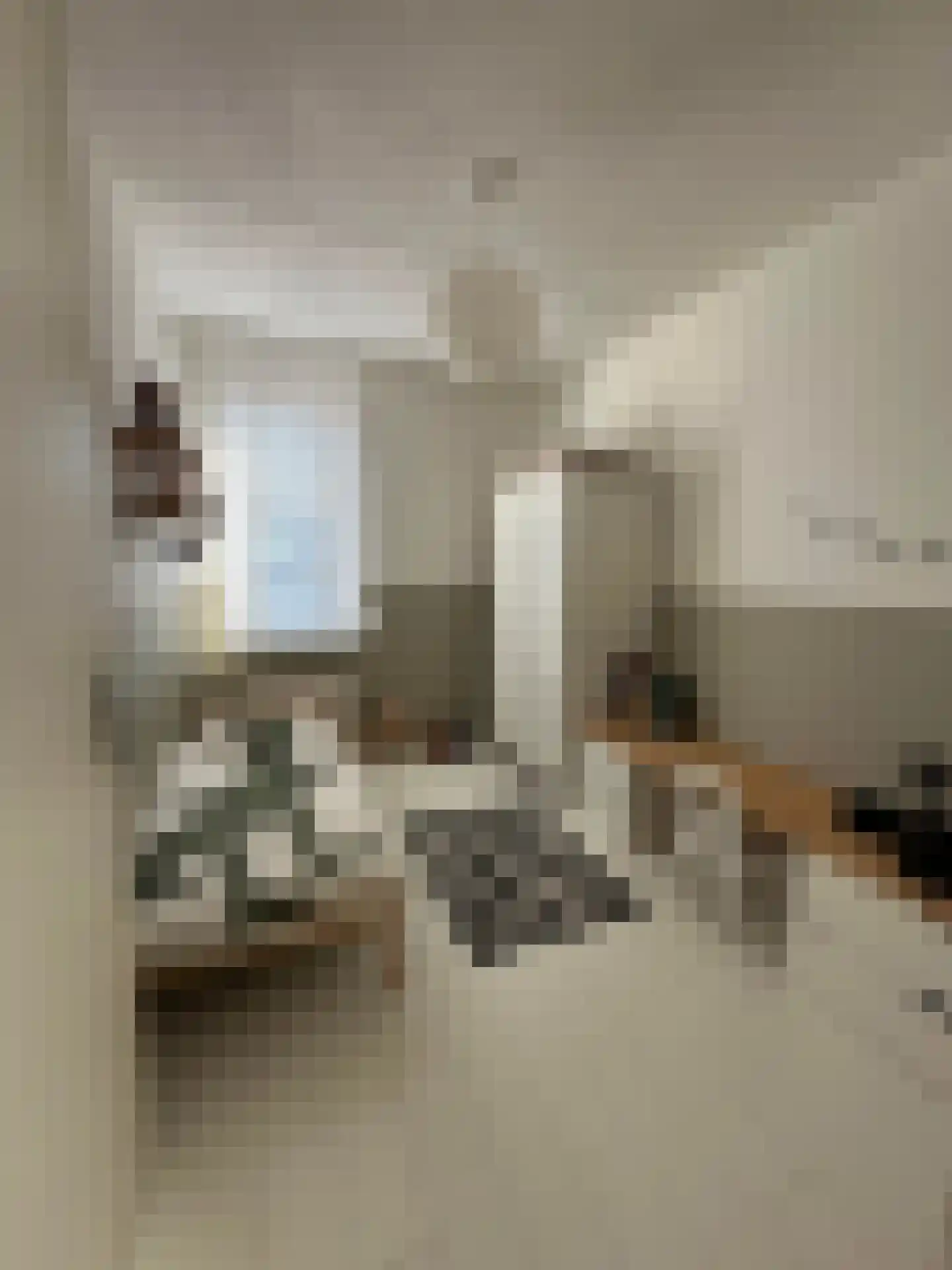 Thaalweg Oost 4 Echt thumbnail 18