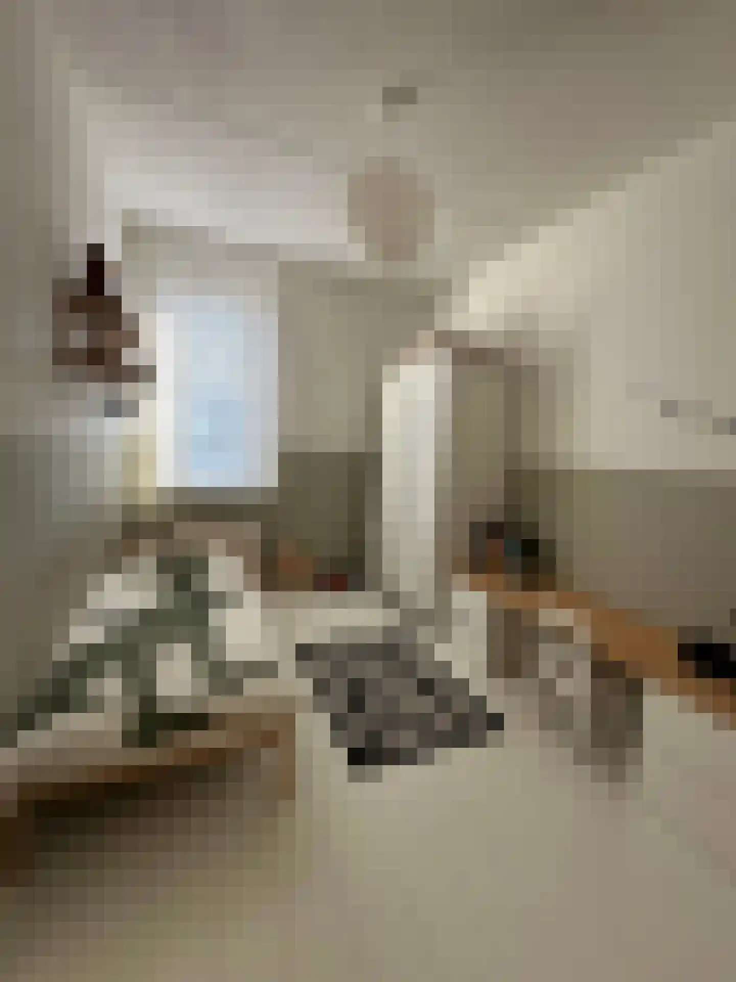 Thaalweg Oost 4 Echt thumbnail 20