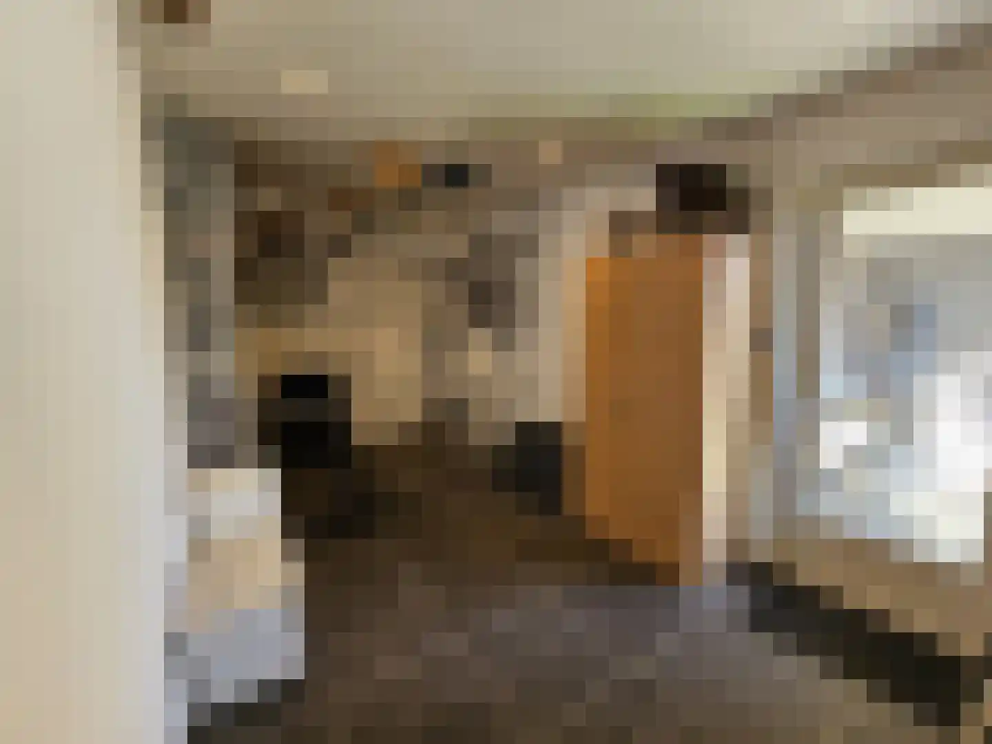 Thaalweg Oost 4 Echt thumbnail 25