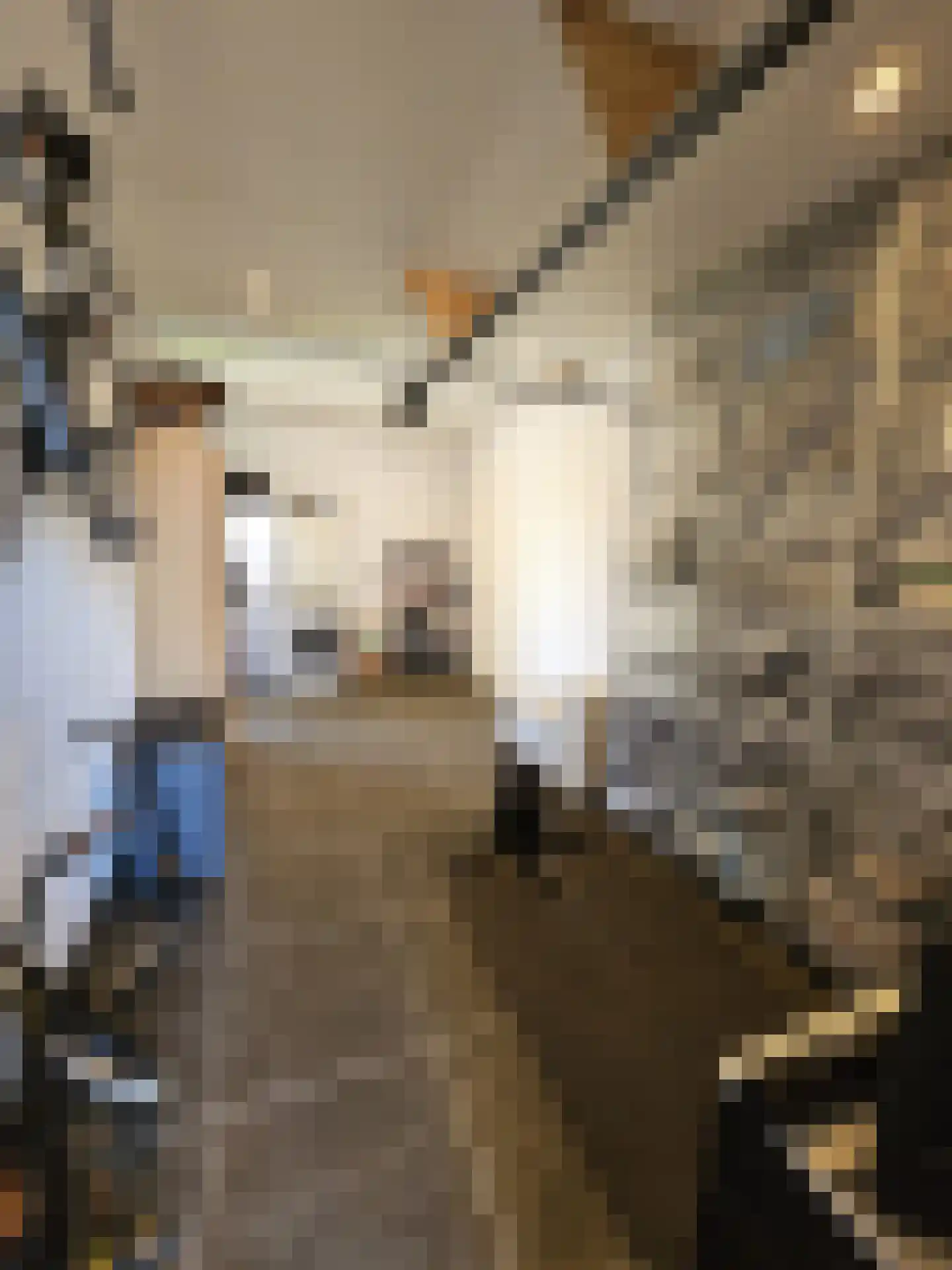 Thaalweg Oost 4 Echt thumbnail 26