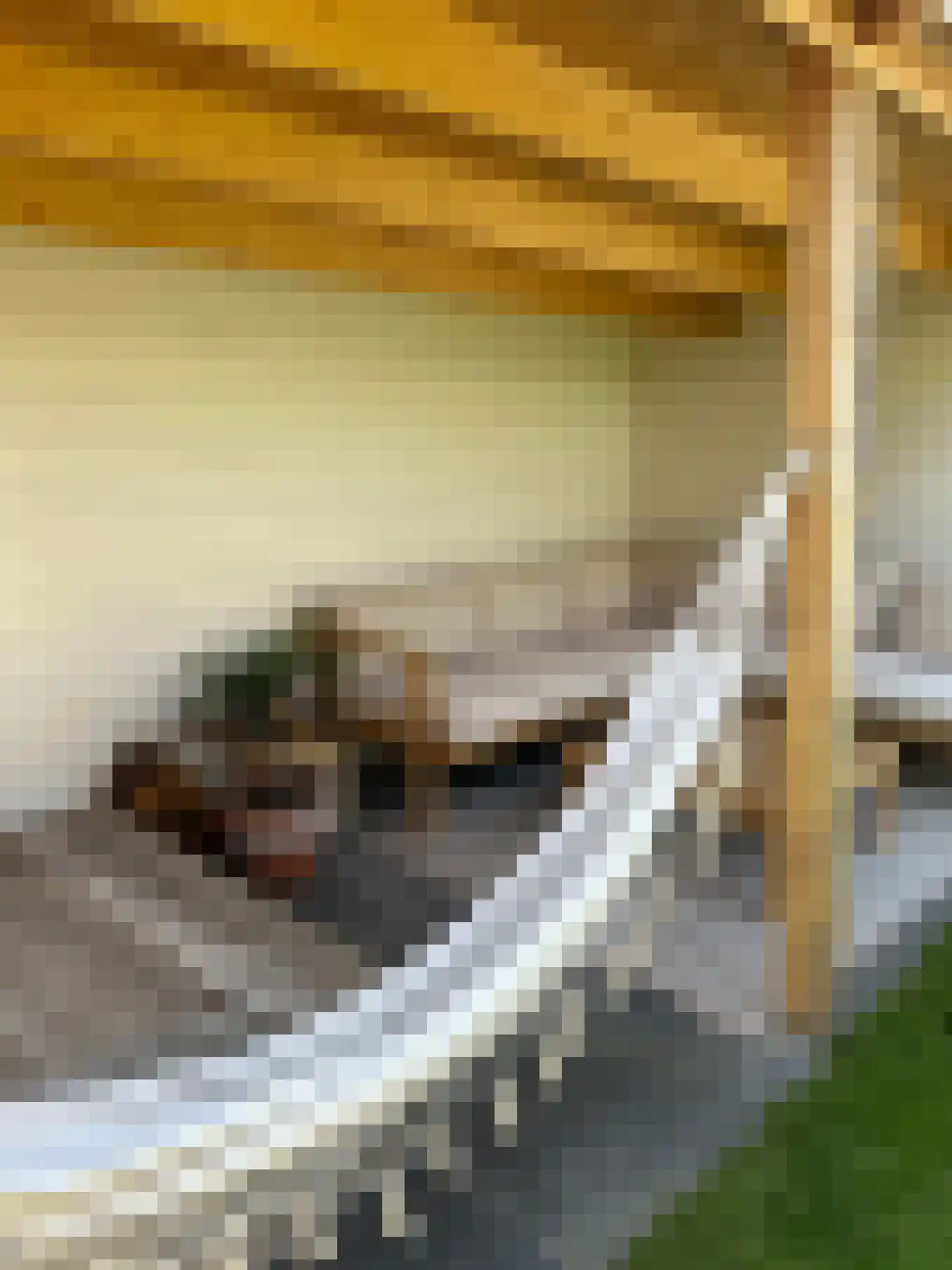 Thaalweg Oost 4 Echt thumbnail 28