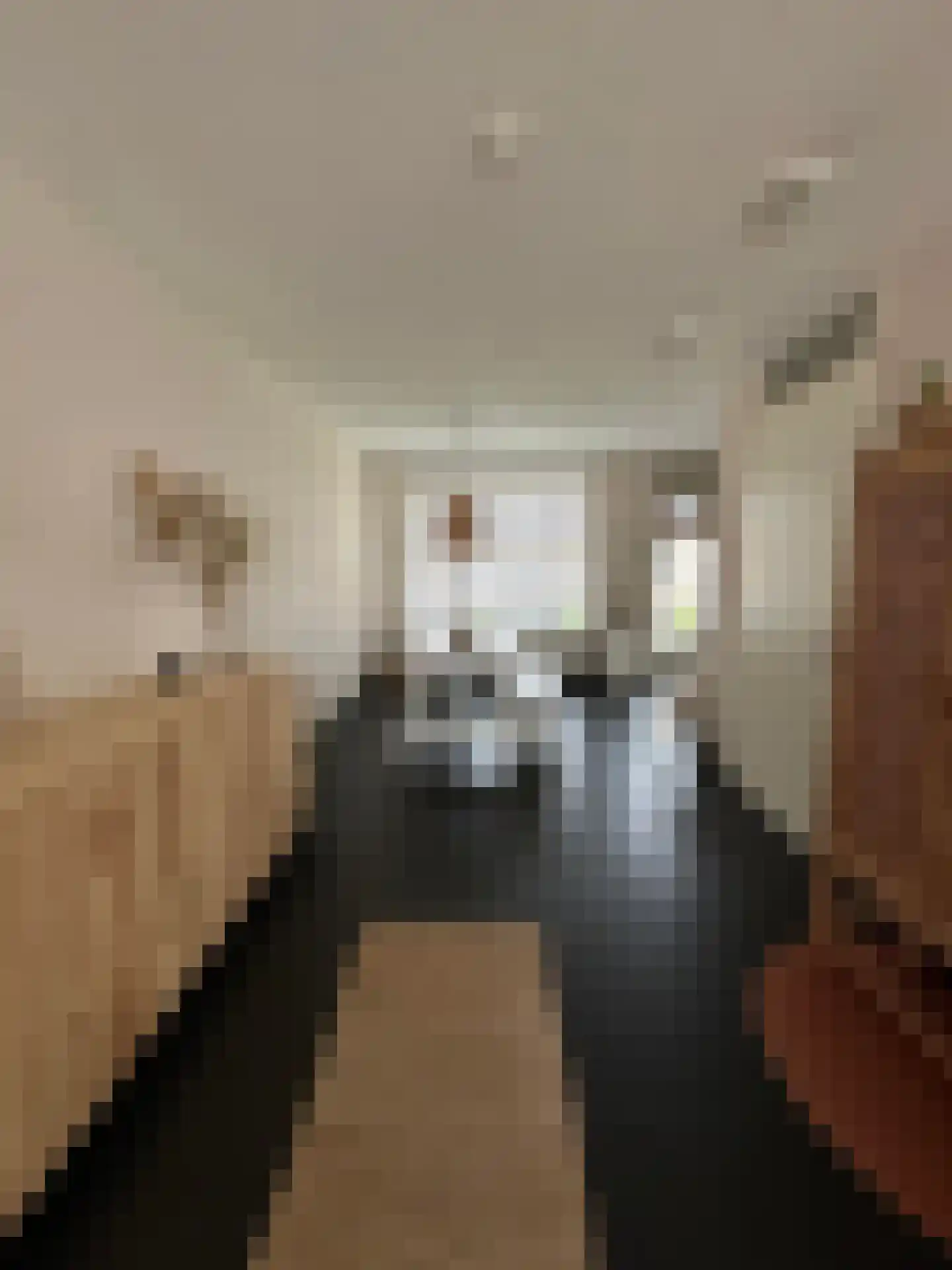 Thaalweg Oost 4 Echt thumbnail 4