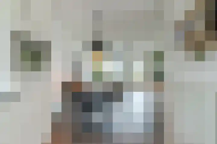 Thaalweg Oost 71 Echt thumbnail 10