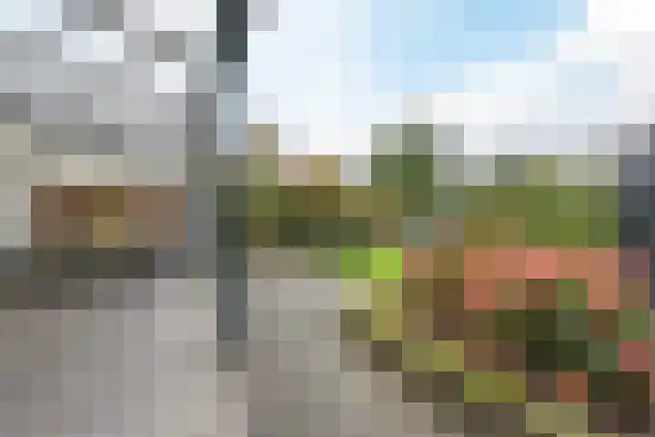 Thaalweg Oost 71 Echt thumbnail 12