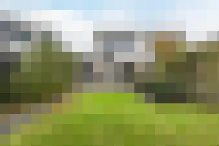 Thaalweg Oost 71 Echt thumbnail 15