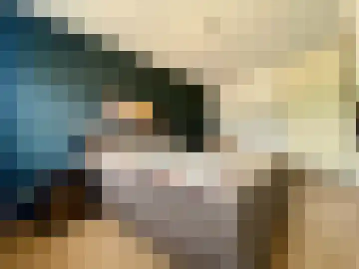 Thaalweg West 27 Echt thumbnail 17