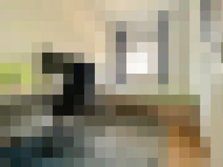Thaalweg West 27 Echt thumbnail 18