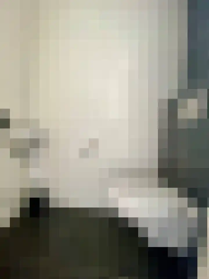 Thaalweg West 27 Echt thumbnail 7