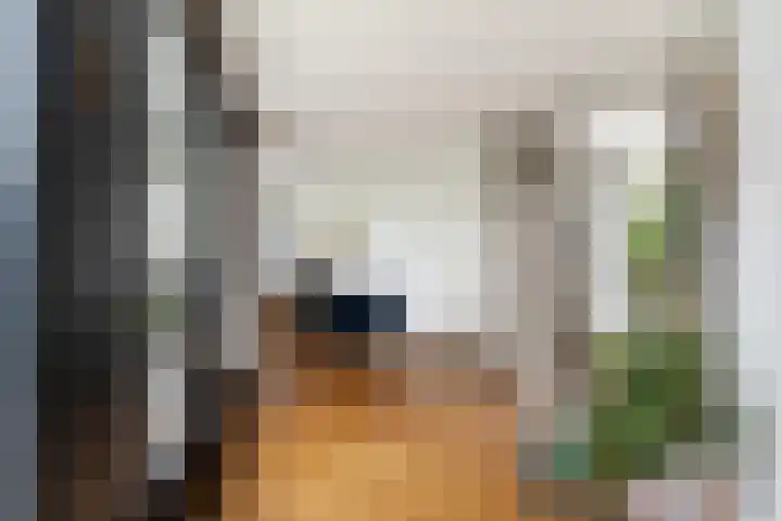 Thaborwei 8 Tirns thumbnail 11