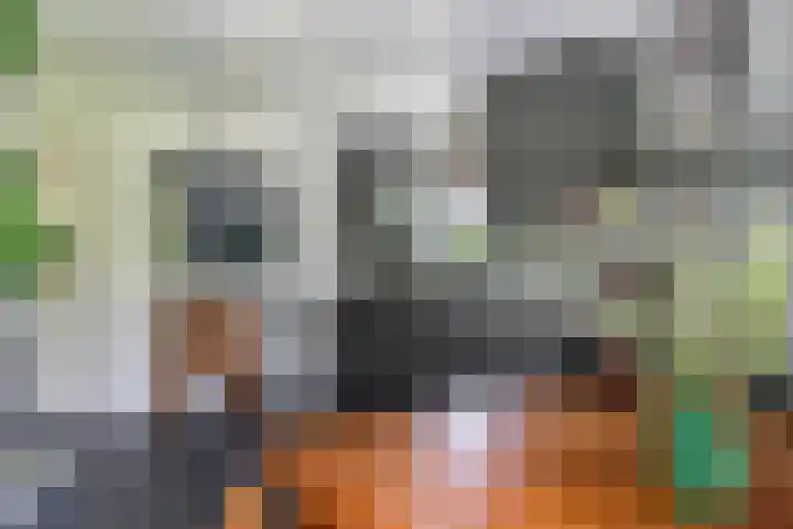 Thaborwei 8 Tirns thumbnail 18
