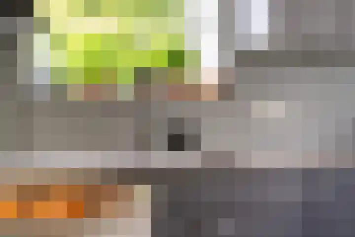 Thaborwei 8 Tirns thumbnail 19