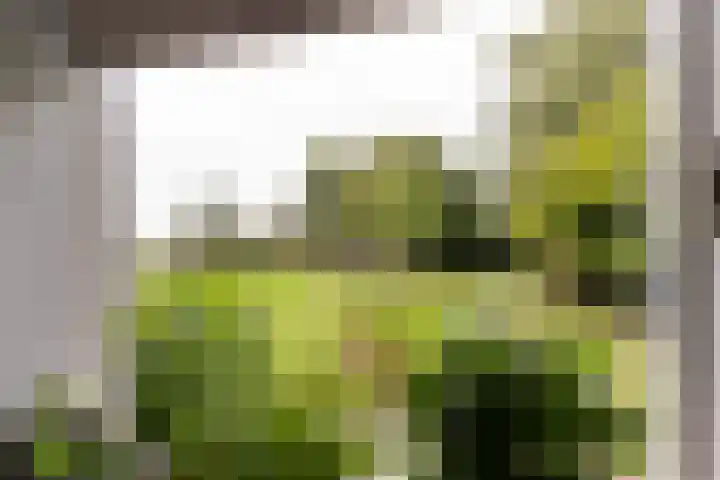 Thaborwei 8 Tirns thumbnail 20